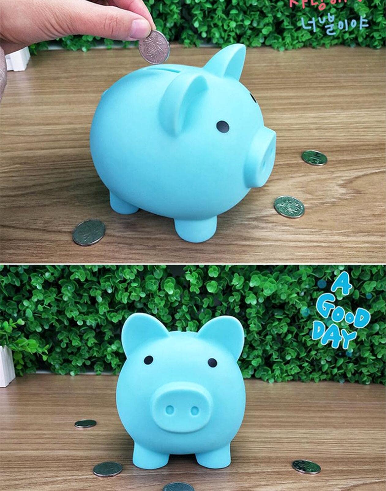 【限定品】チャムス 瀬戸物の貯金箱 コインバンク 限定品】チャムス 瀬戸物の貯金箱 コインバンク Amazon.co.jp